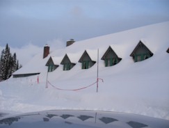 Paradise Lodge